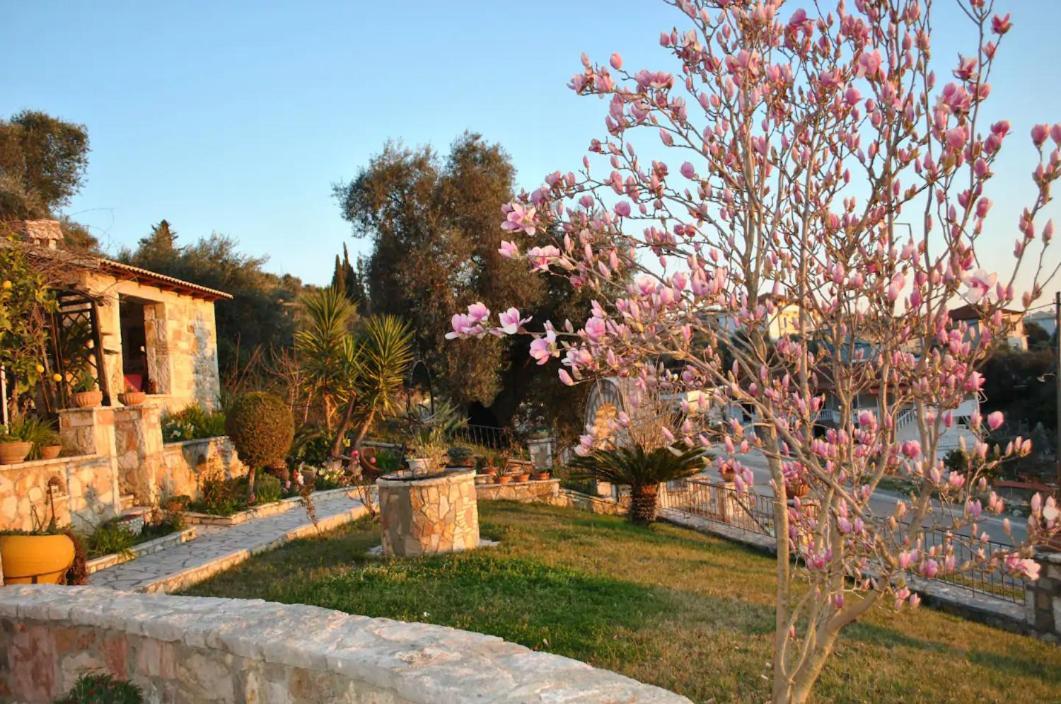 Amaryllis House Daire Parga Dış mekan fotoğraf