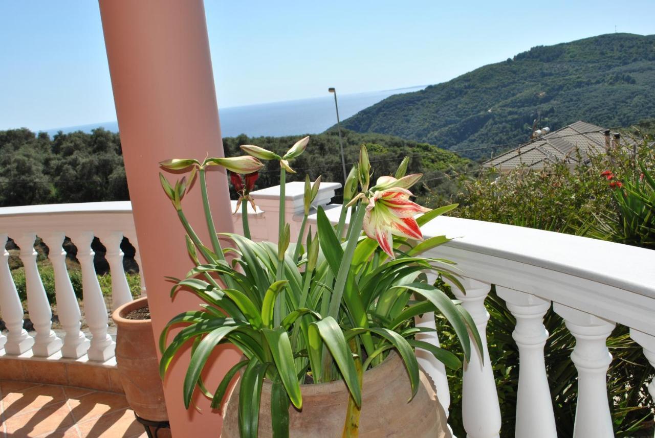 Amaryllis House Daire Parga Dış mekan fotoğraf