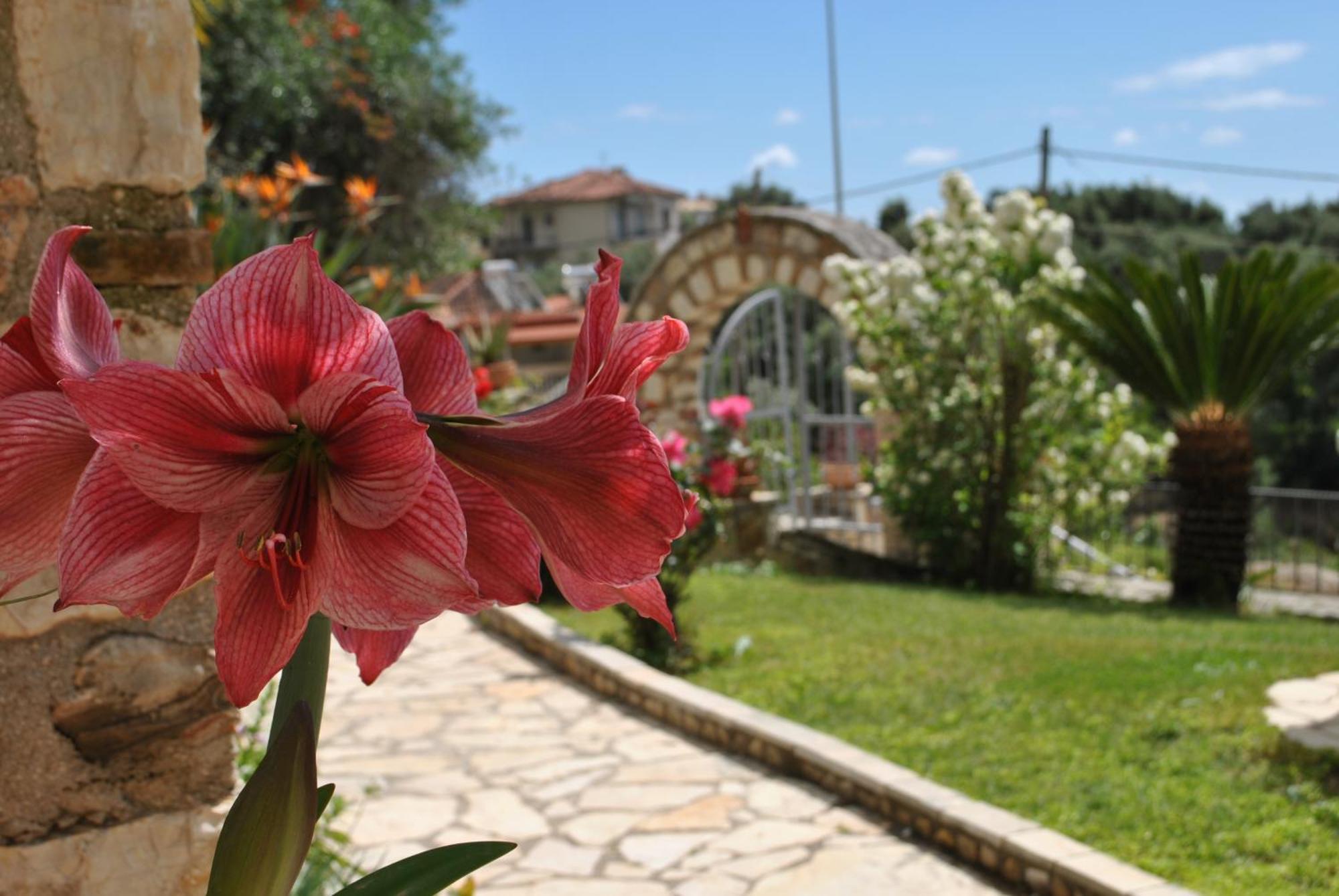 Amaryllis House Daire Parga Dış mekan fotoğraf